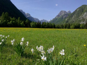 Гостиница Turisticna Kmetija Psnak  Мойстрана